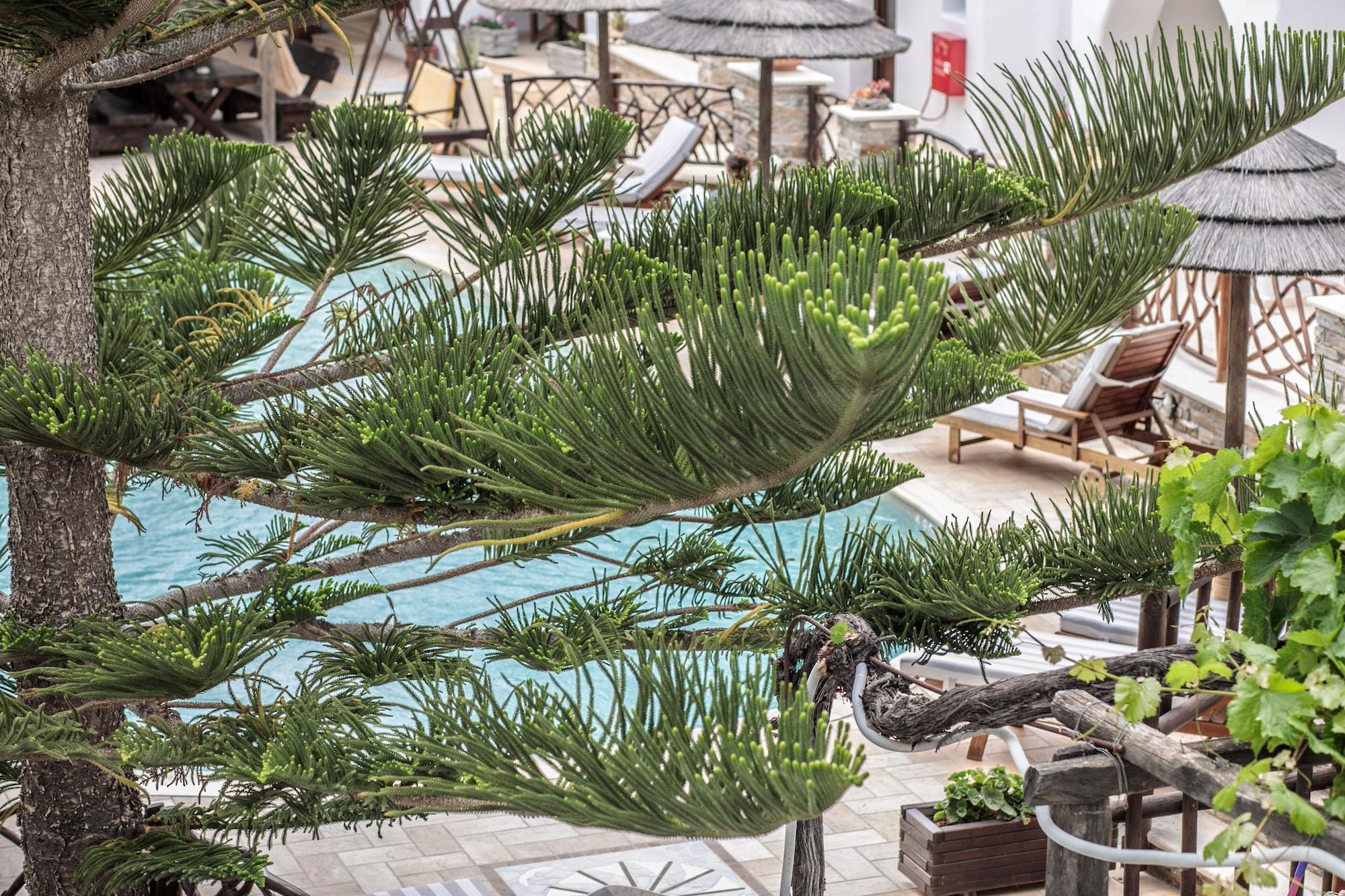 Anemomilos Beach Hotel Agia Anna  Luaran gambar
