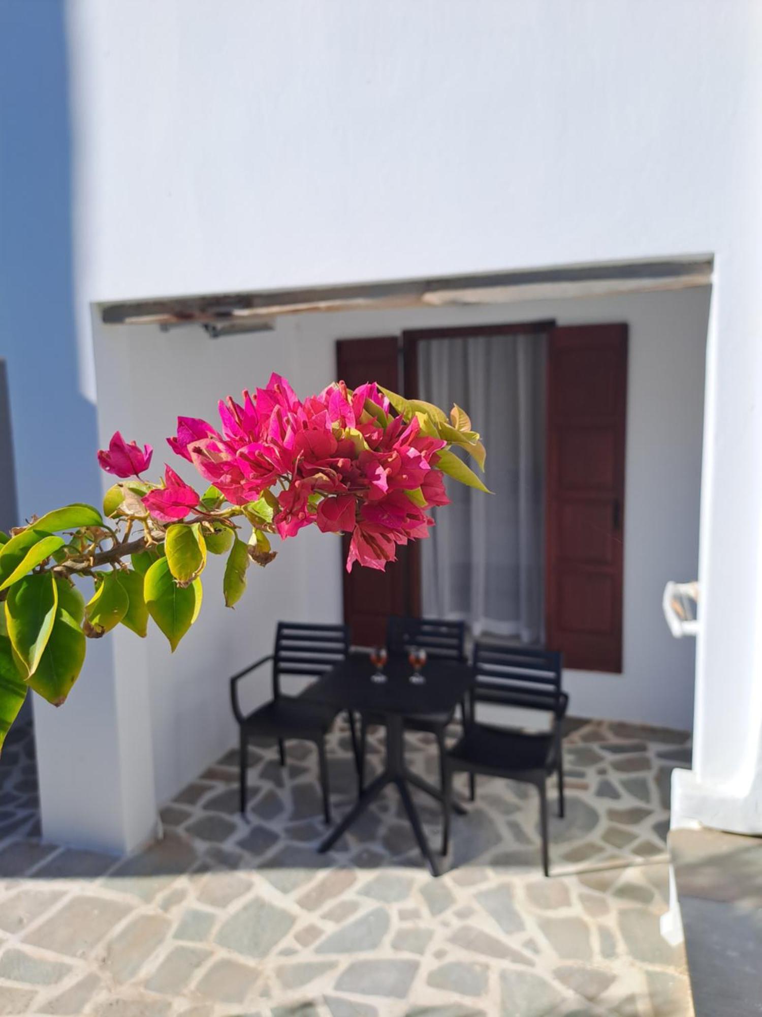 Anemomilos Beach Hotel Agia Anna  Luaran gambar